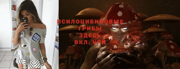 Альфа ПВП Кулебаки